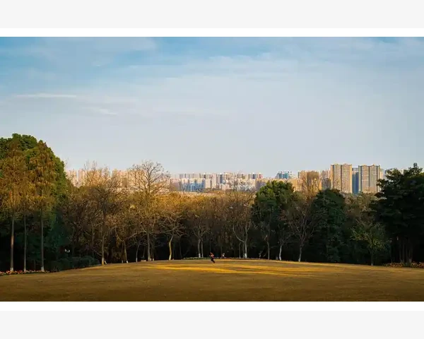 白酒烧热有驱风驱寒，中医经典理论解析其中的奥秘
